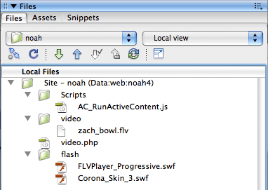Flash Video File Layout