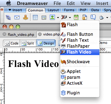 Insert Flash Video