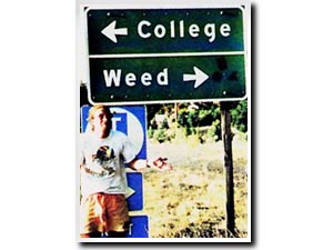 College vs. Weed