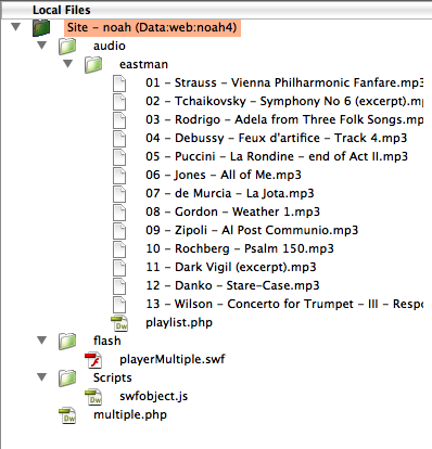 multiplePlayer File Arrangement